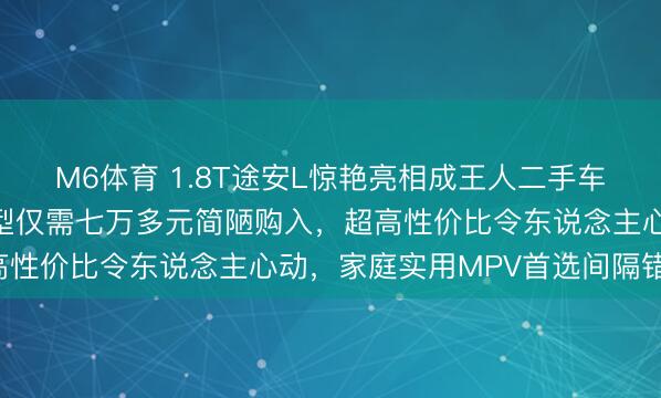 M6体育 1.8T途安L惊艳亮相成王人二手车交游市集，二手顶配车型仅需七万多元简陋购入，超高性价比令东说念主心动，家庭实用MPV首选间隔错过！