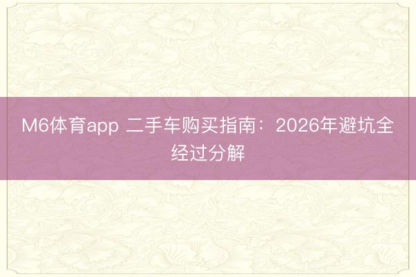 M6体育app 二手车购买指南：2026年避坑全经过分解