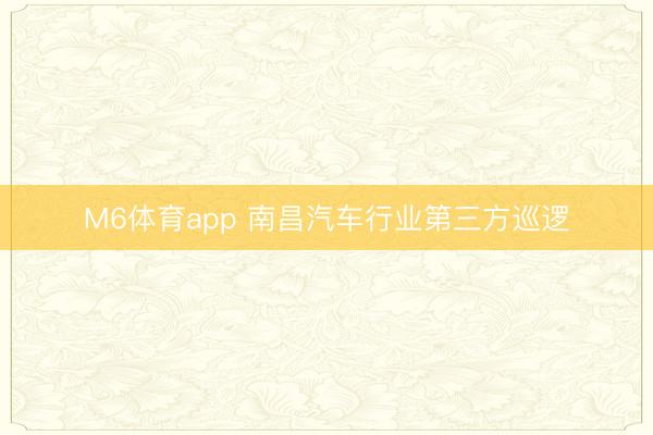 M6体育app 南昌汽车行业第三方巡逻
